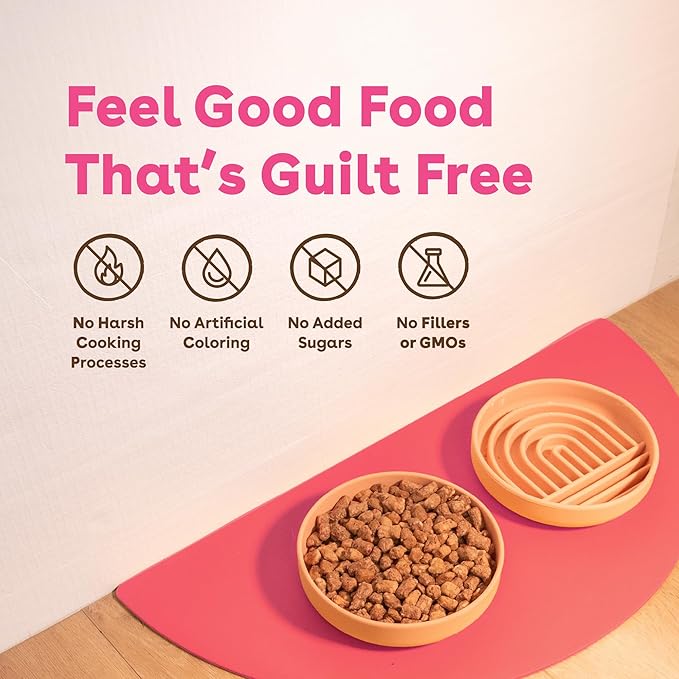 Pupford Good Dog Food, Freeze-Dried Raw, High-Protein, Superfood Ingredients, Vet-Approved, No Fillers or Artificial Additives (Lamb & Salmon Recipe, 16 oz)