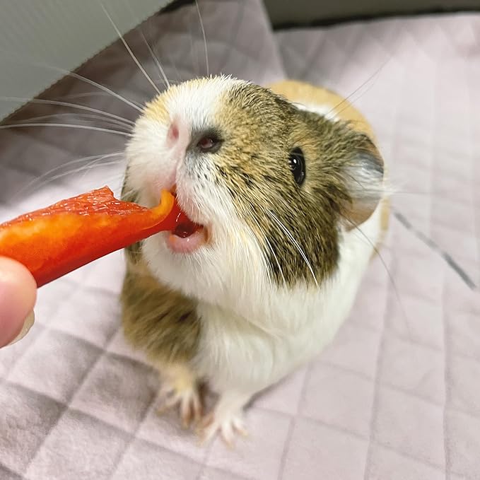 GuineaDad Premium Liner – Fleece Guinea Pig Cage Liner – Ultra-Plush Reusable Fleece Bedding with Waterproof Bottom – Extra Absorbent Liner for 2x3 C&C Cage (Rainy Day)