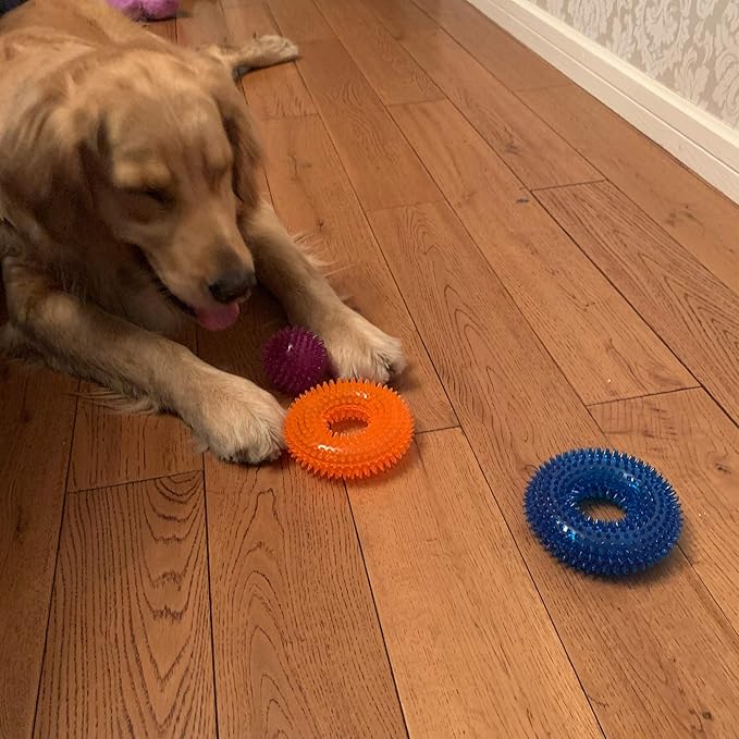 Jalousie Dog Squeaky Toys Value Set Non-Toxic Squeaky Balls Toss Fetch TPR Rubber Puppy Toys Spikey Dog Chew Toy for Small Medium Breed Pet Toys for Puppy (3 Pack Spiky Balls)