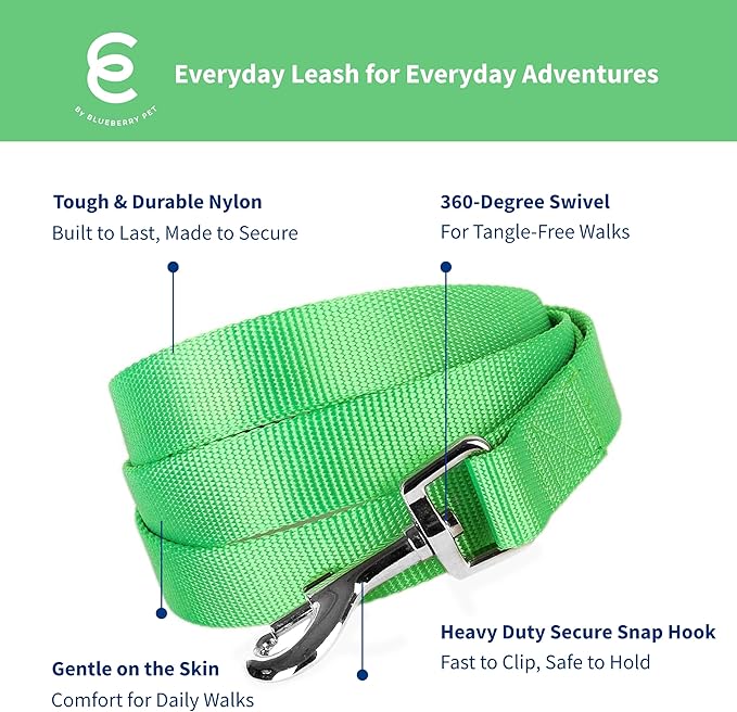 Blueberry Pet Essentials Neon Green Dog Leash for X-Small -5' * 3/8" Dogs | Heavy Duty Nylon Lead | Lightweight Puppy & Cat Leash for Walking & Training