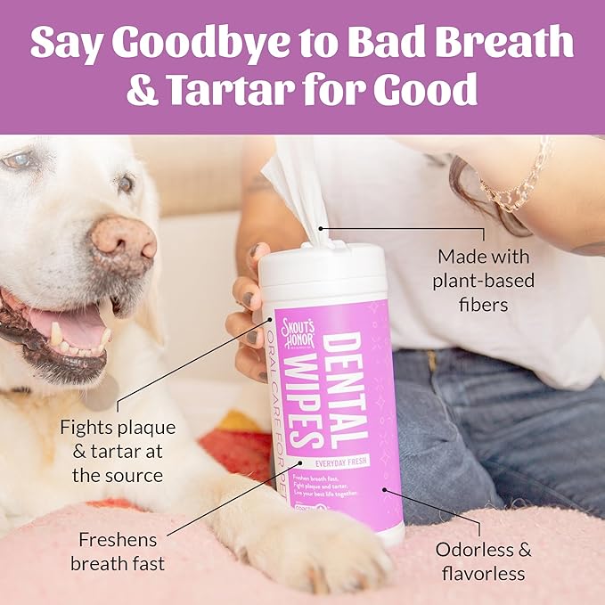 SKOUT'S HONOR Fresher Breath Dental Wipes- Pet Dental Wipes - Fights Plaque and Tartar, Freshens Breath Fast, No Brushing Required, 50 Sheets
