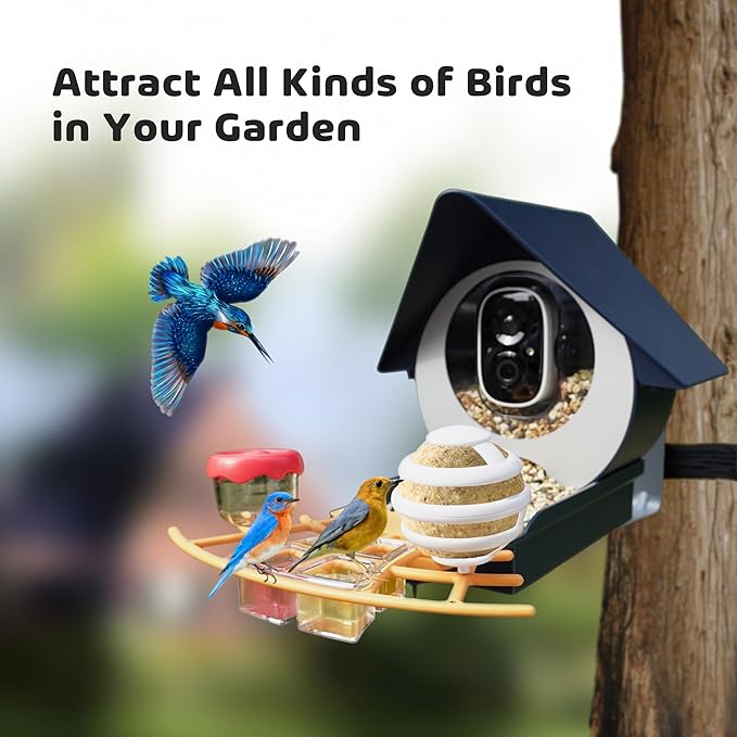 Birdkiss Smart Camera Bird Feeder with Solar Pannel, DIY Different Add-Ones Including Suet Ball, Jelly Feeder, Mini Hummingbird Feeder, Auto Capture Bird Full HD Videos, Ideal Present for Bird Lovers
