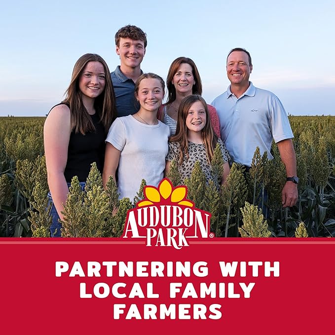 Audubon Park Cardinal Wild Bird Seed - 8 lb. No Corn, Milo, or Millet – Sunflower & Safflower Mix – Bird Food for Outside Feeders