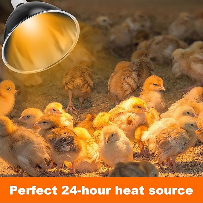 Chicks Brooder Box for Chicken Starter Kit- Includes Timing Heat Lamp Set, Detachable Chicken Brooder, Up to 15 Chicks, Sawdust, Chick Feeder and Waterer Set, Chick Perch 6-in-1 Chicken Coop Set.(B)