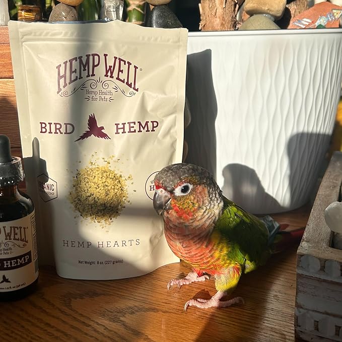 Hemp Well Organic Hemp Hearts for Birds - Reduces Feather Plucking, Promotes Relaxation, Immune Support, Organic, USA Grown, GMO Free – 8 Ounces