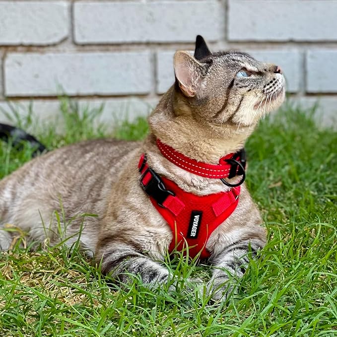 Voyager Step-in Lock Adjustable Cat Harness w. Cat Leash Combo Set with Neoprene Handle 5ft - Supports Small, Medium and Large Breed Cats by Best Pet Supplies - Red, XXS