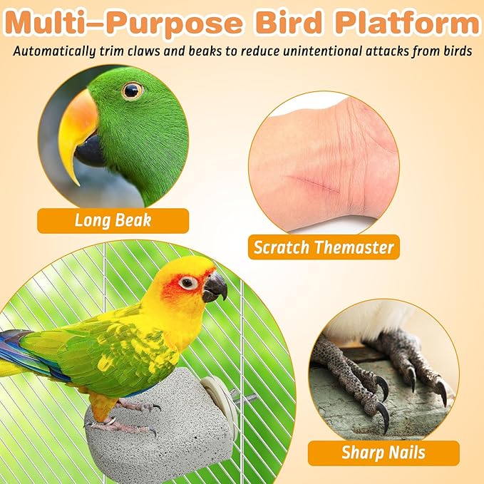 PINVNBY 8 PCS Bird Perch Bird Beak Grinding Stone Calcium Mineral Parrot Perch Foot Claws Trimmer Chew Toy Cage Accessories for Small Medium Budgie Cockatiel Conure Lovebird Finch