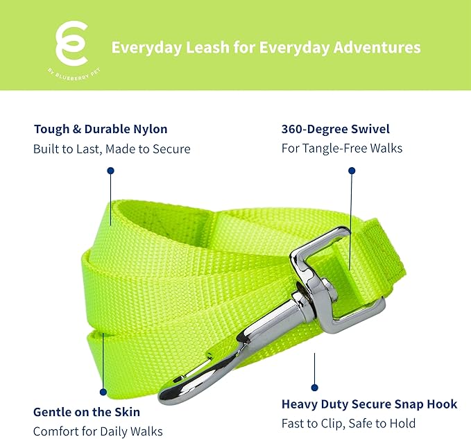 Blueberry Pet Essentials Highlighter Yellow Dog Leash for Medium - 5' * 3/4" Dogs | Heavy Duty Nylon Lead | Lightweight Puppy & Cat Leash for Walking & Training