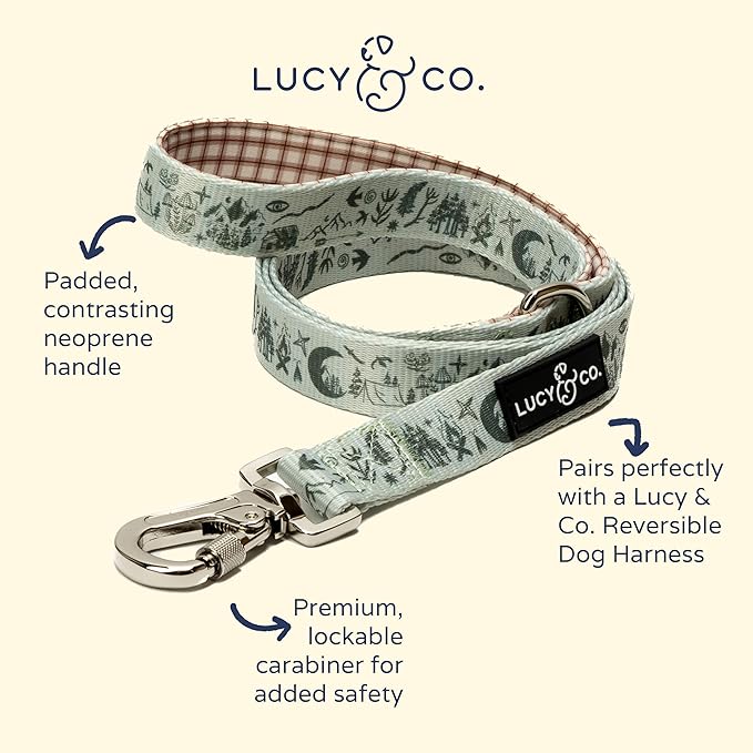 Lucy & Co. 5 Foot Designer Dog Leash for Small, Medium or Big Dogs or Puppies Puppy – Pet Accessories & Supplies- Small-Green Outdoor Plaid