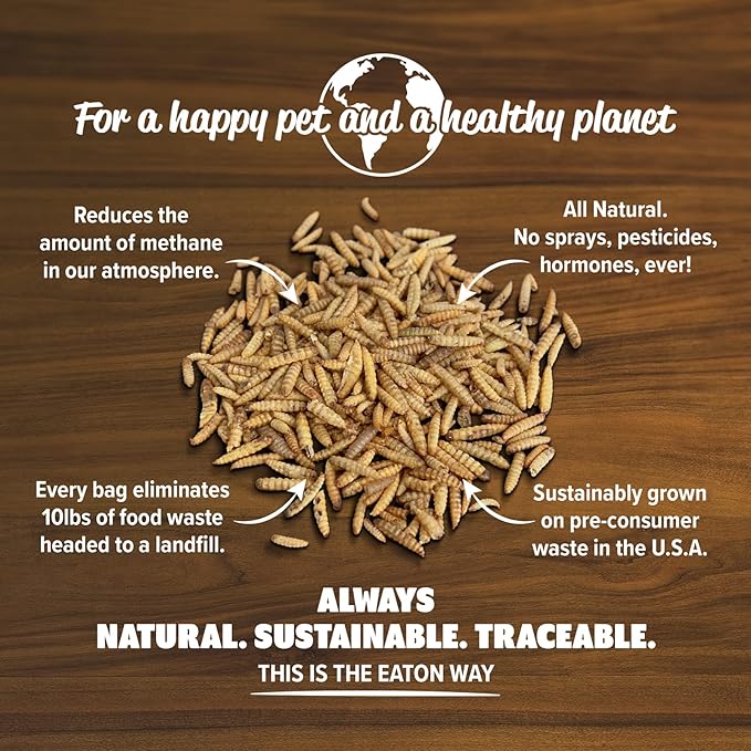 Eaton Pet and Pasture Premium Grubs, USA Grown Dried Black Soldier Fly Larvae, High Calcium Treat for Chickens, Ducks, Wild Birds (5 LB)