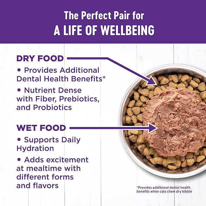 Wellness Complete Health Gravy & Minced Adult Wet Cat Food, Natural, Protein-Rich, Grain Free, 3 Ounce, 12 Pack, (Salmon, Tuna, and Chicken Variety Pack)