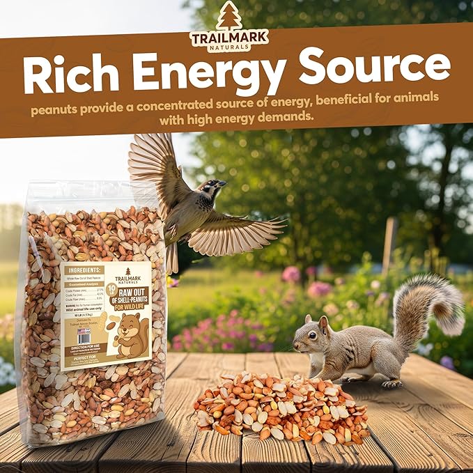 10 LB - Raw Shelled Peanuts For Squirrels, Out of Shell Peanuts For Birds and Wildlife- Squirrel Food, Wild Bird Seed -Grown in The USA