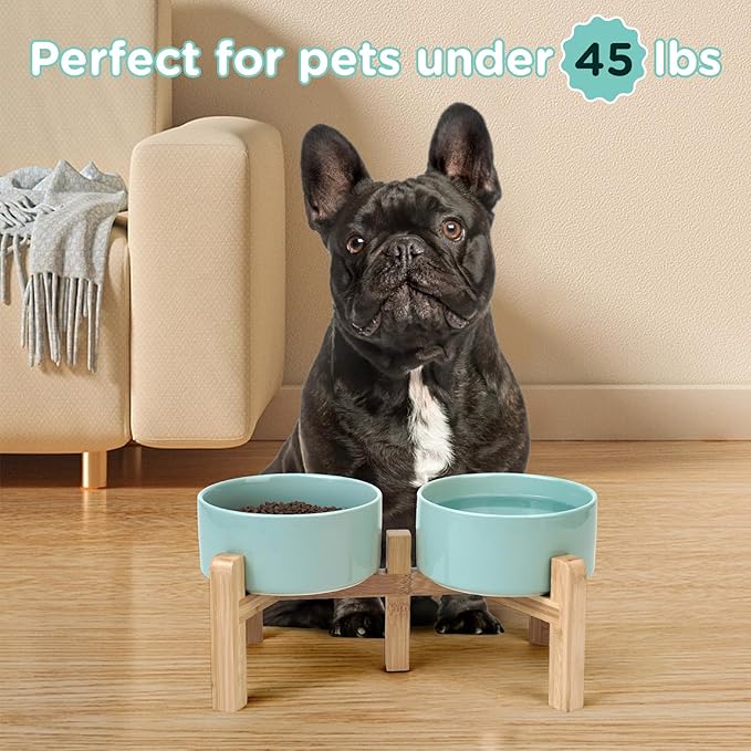 SPUNKYJUNKY Elevated Dog Bowls Ceramic, 6.1'' Dogs and Cat Food Water Bowls Raised with Non-Slip Bamboo Stand for Medium Sized Breed Microwave Dishwasher Safe - 28.7 OZ,Light Green