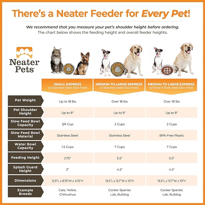 Neater Feeder Express Mess Proof Dog Bowls Elevated for Small Breed – Made in USA – No Spill Raised Slow Feeder Elevated Dog Bowl Stand, Stainless Steel Food and Water Bowl Set, Almond