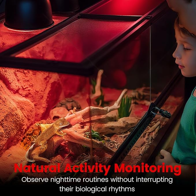 2-Pack 100W Infrared Heat Lamp - Reptile Heat Emitter, Red Heat Bulb for Chicked, Snake & Leopard Gecko, E26 Base