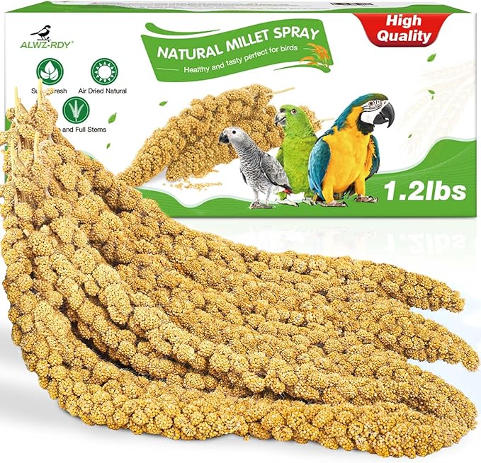 Millet for Birds 1.2LB, Natural Sun-Dried Spray Seed No Stems Only Edible Tops for Parakeet, Budgies, Finches, Cockatiels, Parrots, Lovebird, Hamster and Other Pets Treat