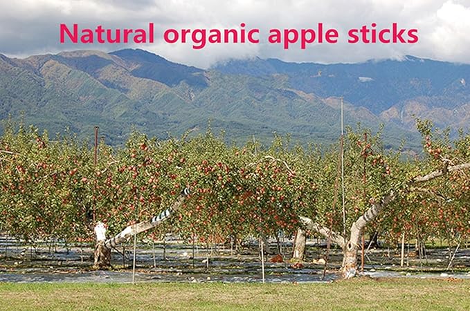 sharllen 300g(10.5oz) Apple Sticks (About 90 Sticks) Pet Chew Toys for Rabbits Chinchilla Guinea Pigs by