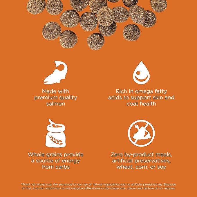 Go! Solutions Skin + Coat Care, Dry Dog Food, Salmon Recipe with Grains, 12 lb Bag