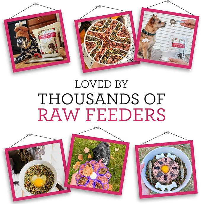 Dr. Harvey's Raw Vibrance Dog Food, Human Grade Dehydrated Base Mix for Dogs, Grain Free Raw Diet (3 Pounds)