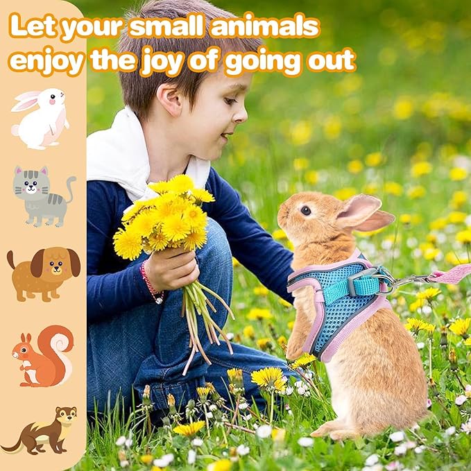 PINVNBY 2 Pack Bunny Hsrness and Leash Set Adjustable Rabbit Harness with Reflective Strips Double Buckle Pet Vest Eescape Proof for Small Rabbit Kitten Puppy Walks Accessories (Pink Blue, S)