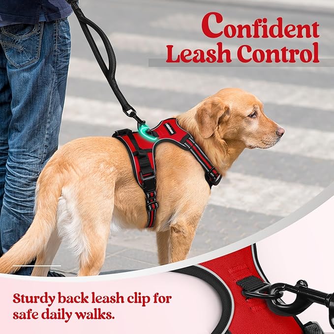 rabbitgoo Dog Harness No Pull with 2 Leash Clips, Adjustable Soft Padded, Reflective Oxford No Choke Pet Vest with Easy Control Handle for Small Dogs, Red, S