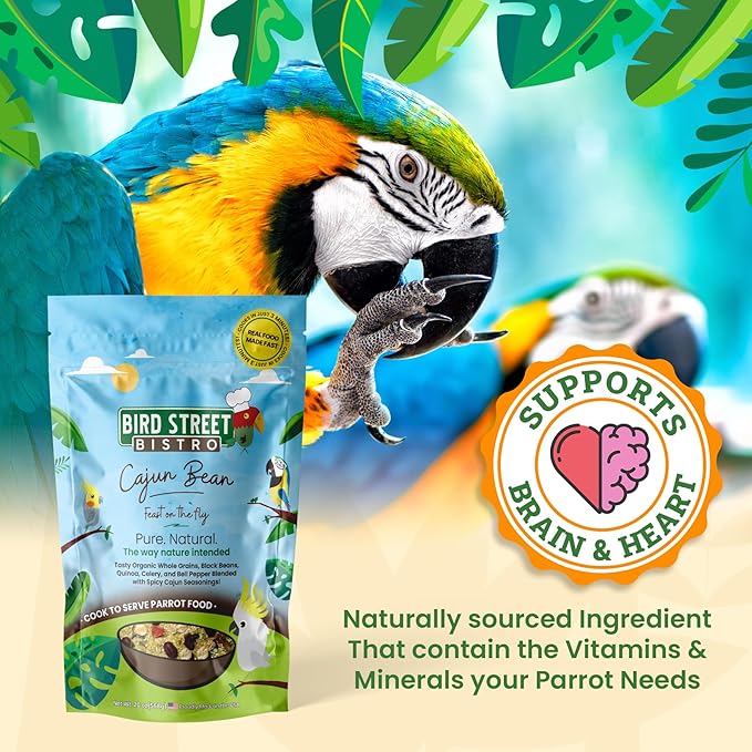 Parrot Parakeet Cockatiel Food - Bird Food - Cooks in 3-15 min with Natural & Organic Grains - Legumes - Non-GMO Fruits, Vegetables, & Health Orientated Spices (4.00 Pound (Pack of 1), Cajun Bean)