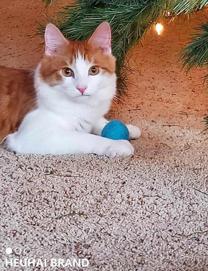 40-Pack Cat Balls – Fun Interactive Toys for Indoor Cats & Kittens (Basic Cat Toy Set)