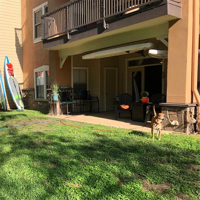 Dog/Puppy Obedience Recall Training Agility Lead - 15ft 20ft 30ft 40ft 50ft Training Leash - Great for Play, Camping, or Backyard (Rainbow, 20 Feet)