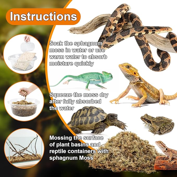 Sukh Sphagnum Moss for Reptiles - 3.5 OZ Reptile Peat Moss for Terrarium Bedding Reptiles Substrate for Reptile Tank, Snake, Leopard Gecko, Ball Python, Crested Gecko, Turtle, Frog, Hamster