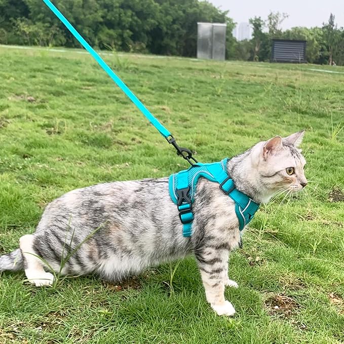 Cat Harness and Leash Set Escape Proof Tactical Medium Kitten Harness Emotional Support Cat Vest, Turquoise, M