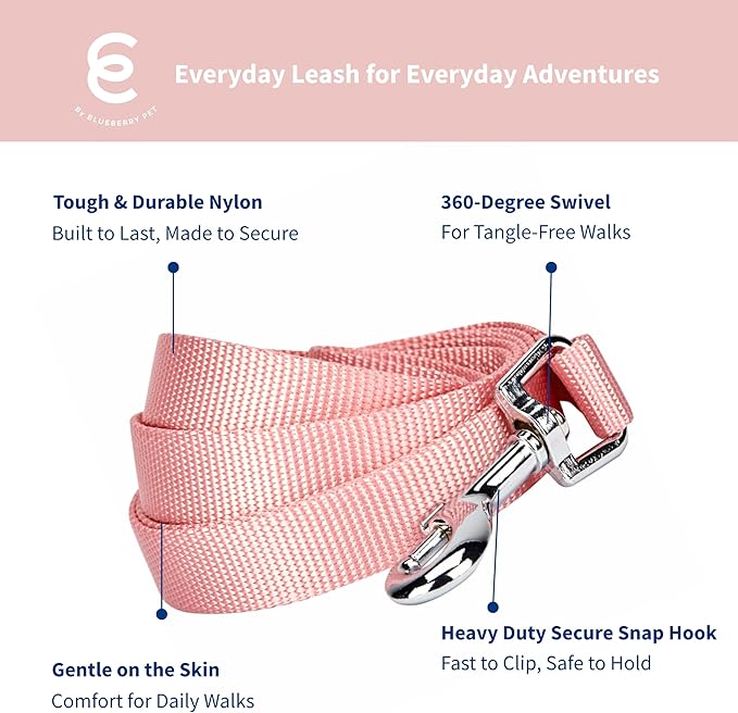 Blueberry Pet Essentials Baby Pink Dog Leash for X-Small -5' * 3/8" Dogs | Heavy Duty Nylon Lead | Lightweight Puppy & Cat Leash for Walking & Training