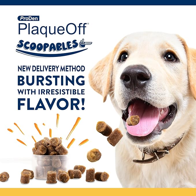 ProDen PlaqueOff Scoopables - Hickory Smoked Bacon Flavor Dental Bites for Large Dogs, Natural Kelp for Plaque & Tartar Control, Freshens Breath -Large & Giant Breed Dental Care- 45 Scoops