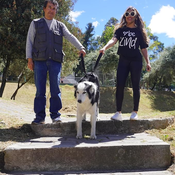 AGON Canine Dog Sling Carrier Support Back Legs Hip Knee Hock Joint Harness to Help Lift Dogs Rear Aid and Old K9 Cruciate (Large, Black)