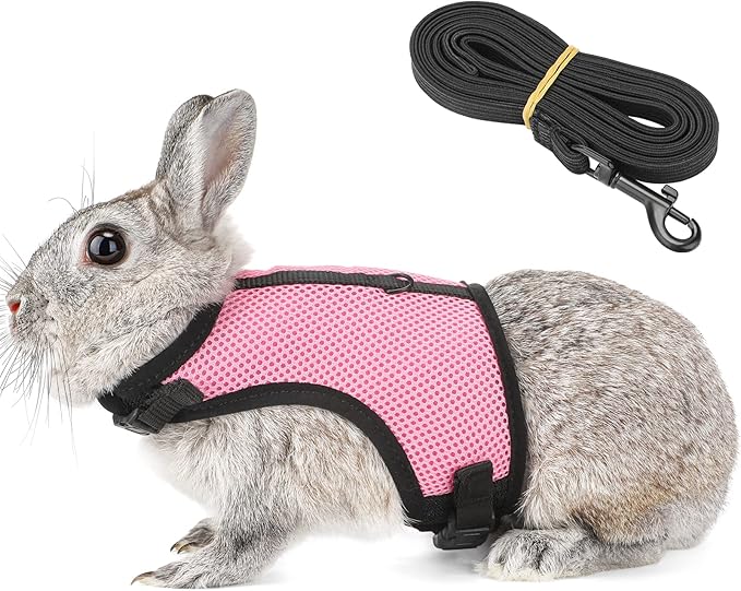 PETTOM Bunny Rabbit Harness with Stretchy Leash Cute Adjustable Buckle Breathable Mesh Vest for Kitten Small Pets Walking (Pink,XL)