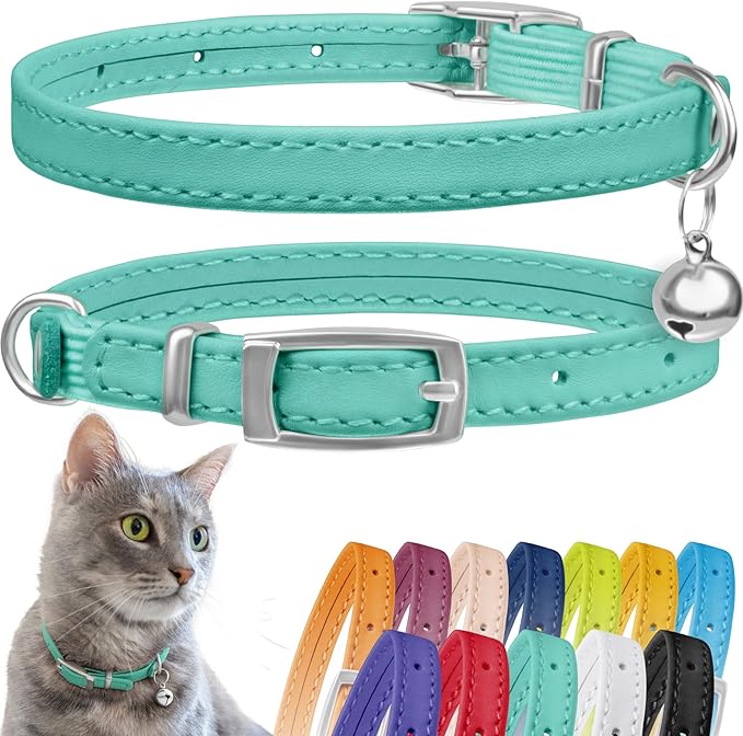 CollarDirect Leather Cat Collar with Bell - Kitten Collar, Small and Big Cat Collar for Boy Cats, Girl Cats with Safety Elastic Strap (Neck Fit 8"-11", Mint Green)