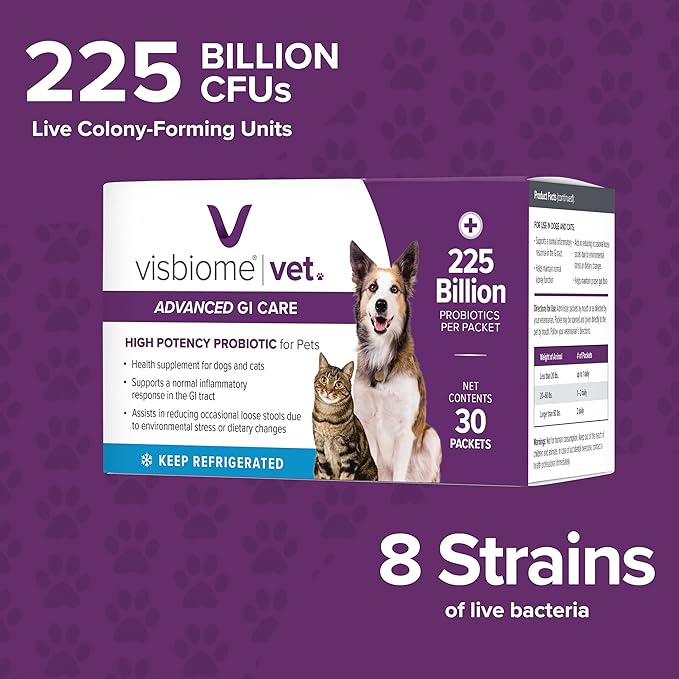 Visbiome® Vet Advanced GI Care Probiotic for Dogs & Cats – 225B CFU, 8-Strain Formula – Veterinarian Recommended, Clean Label Certified – 60 Packets