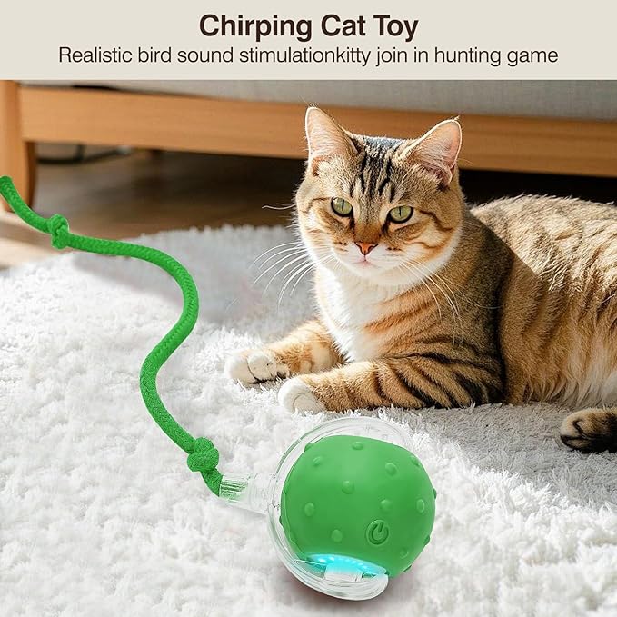 Electric Interactive Cat Toy Ball - Automatic Rolling Silicone Cat Toys for Indoor Cats, Durable Chew-Proof Motorized Kitty Ball with LED Light, Fun Exercise Toys for Bored Kittens（Green）