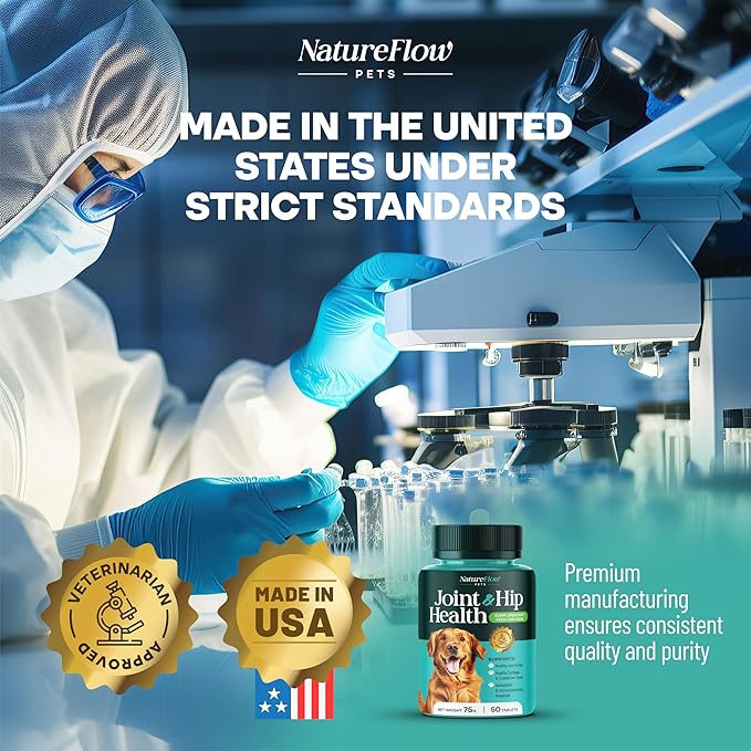 Joint Supplement for Dogs, Power of Nature Made in USA, Unique Formula: Green-Lipped Mussel, Glucosamine, Chrondroitin, MSM, Devils Claw, Hip and Joint Supplement, All Breeds - 200 ct