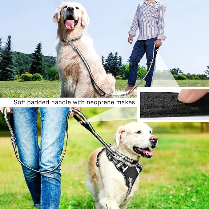 WINSEE Pet Harness Collar and Leash Set, All-in-one Reflective Dog Harness No Pull with Adjustable Buckles for Puppies, Small, Medium, Large, and Extra-Large Dogs (Large, Black)