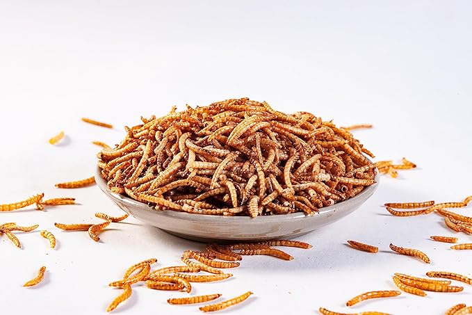I LOVE WORMS Dried Mealworms (10lb), 100% Natural Non-GMO, High-Protein Mealworms for Chickens, Birds, Ducks, Reptile, Tortoise, Amphibian, Lizard