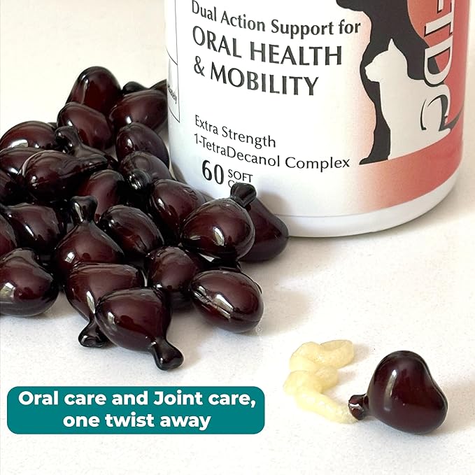 1TDC WorksSoWell Dual Action Joint Supplement for Dogs & Cats - Hip and Joint Supplement for Large Breed & Small Breed - Also Great for Oral Health - Muscle & Stamina Recovery & Arthritis - 60ct