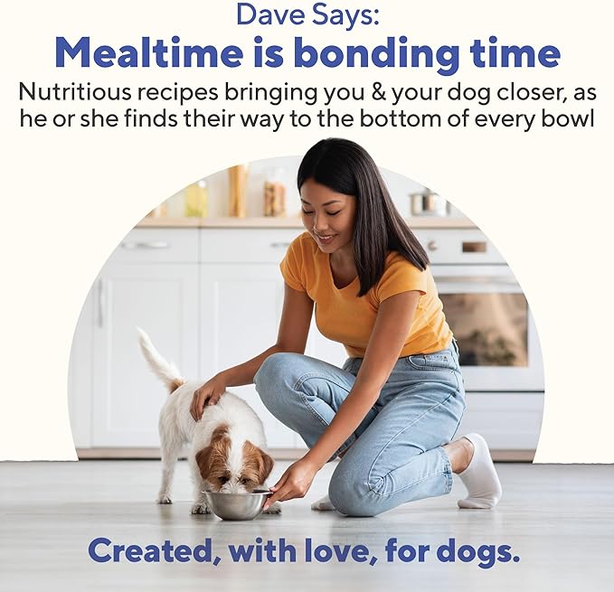 Dave's Pet Food Stewlicious Grain Free Wet Dog Food (Beef & Vegetable in Gravy), Made in USA Naturally Healthy Canned Gluten Free Dog Topper, 13.2 oz (12 Pack)