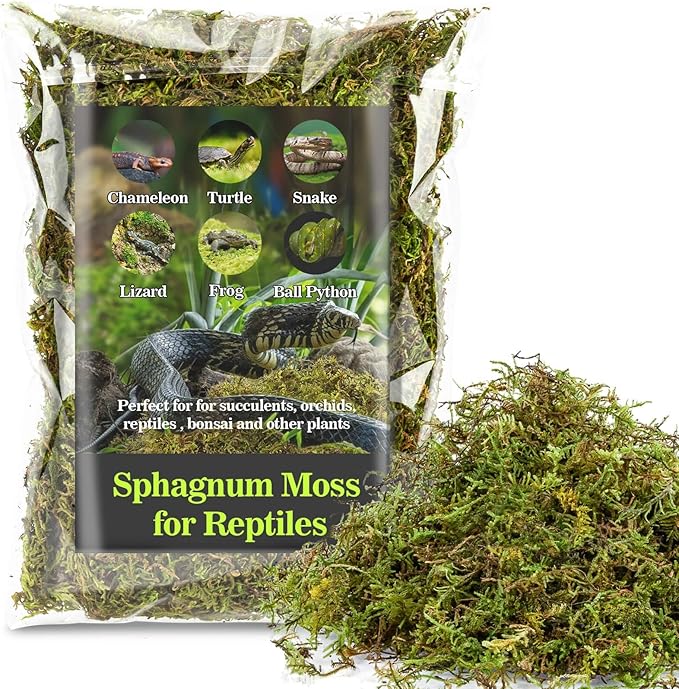 Sukh Sphagnum Moss for Reptiles - Terrarium Reptiles Moss Green Dried Peat Moss Habitat Bedding Moss for Snakes Turtle Frog Gecko and Other Reptiles Substrate (5, Ounces)