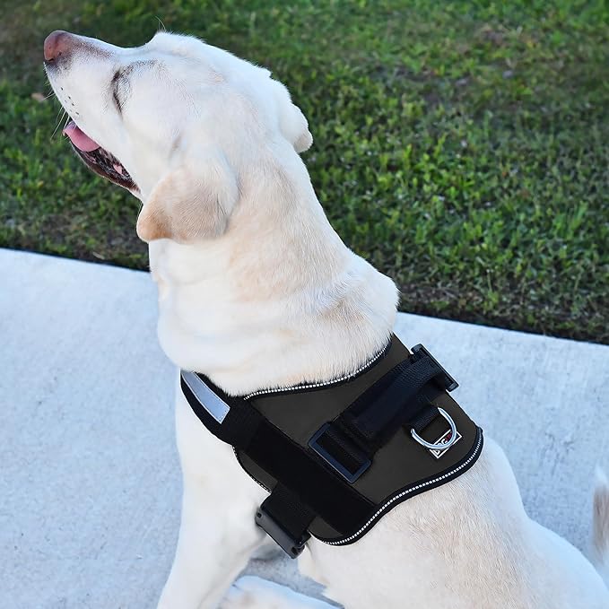 Dogline Dog Harness, Reflective No-Pull Adjustable Vest with Handle for Walking, Training, Breathable, No - Choke Harness for Small, Medium or Large Dogs Room for Patches Girth 15 to 18 in Black