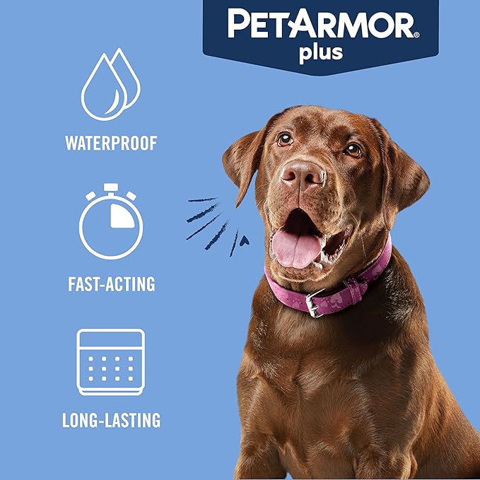 PetArmor Plus Flea and Tick Prevention for Dogs, Dog Flea and Tick Treatment, 12 Doses, Waterproof Topical, Fast Acting, X-Large Dogs (89-132 lbs)