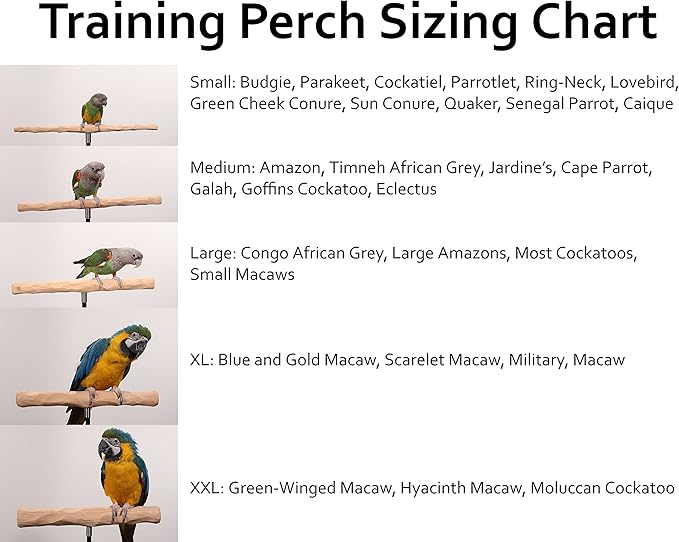 Parrot Training Perch Kit (Standard, Large)