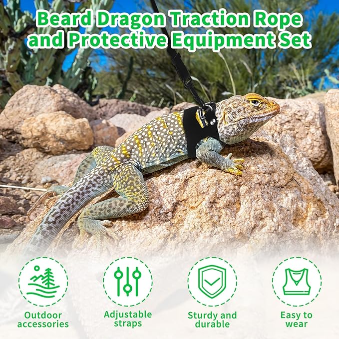 3Size Black Bearded Dragon Leash and Harness Set, Adjustable Bearded Dragon Harness with Lizard Traction Rope for Reptile, Lizard Leash/Squirrel Harness/Small Rabbit Traction Rope (S, M, L)