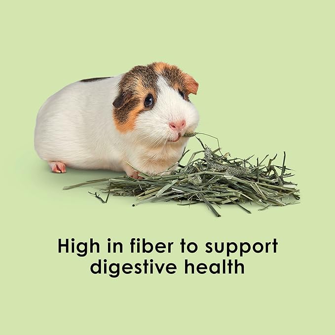 Kaytee Timothy Hay, High Fiber, Grown Specifically for Small Animals, Rabbits, Guinea Pigs, Chinchillas, 2 Pounds