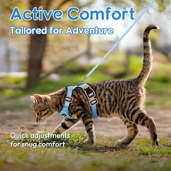 Dooradar Cat Harness and Leash Set, Escape Proof Safe Adjustable Kitten Vest Harnesses for Walking, Easy Control Soft Breathable Mesh Jacket with Reflective Strips for Cats, Light Blue, XXS