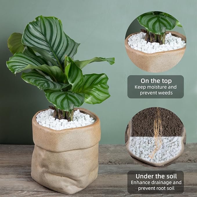 5lb Rocks Polished Silica Gravel for Plants Garden, Decorative Pebbles Ideal for Fish Tank, Vases, Succulents, Crafting, Home Decor and Garden Landscaping, Snow White(0.16-0.24”)